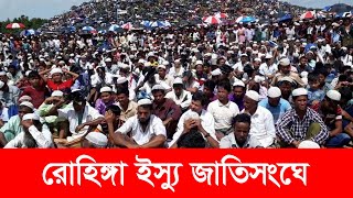 রোহিঙ্গা সমস্যা সমাধানে ড. ইউনূসের মাস্টারপ্ল্যান | TheReport.Live