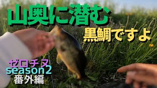 【チニング】ゼロチヌ　season２　山奥に潜む黒い奴を・・・【チヌ】