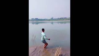 খেউজাল দিয়ে কি মাছ ধরলাম, #short#villegenature #fishing #fish