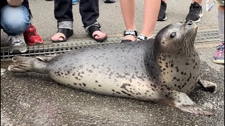 もちもちごはんタイム@東武動物公園 20220618