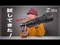 【予約しました！】Z50II 撮影検証！野鳥撮影（被写体認識）、4K動画比較、N Log撮影テスト