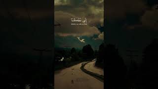 on Islam [Video] in 2023 | Beautiful quran verses,Quran recitation, Quran karim/sameed IslamicMedia