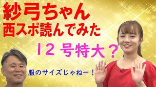 野球を知らない子がスポーツ新聞を読んだら、こうなる！衝撃！！特大12号とは・・・・。