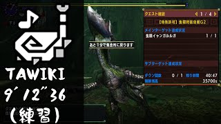 【MHXX】狩猟笛ソロTAWIKI 9'12\