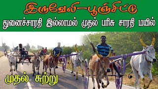 ETSS reckla race - இருவேலி (பூஞ்சிட்டு முதல் சுற்று-25.02.2022) bulls race