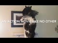 the 4 fantastic felines trailer