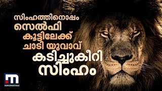 ആന്ധ്രയിൽ കൂട്ടിലേക്ക് എടുത്തുചാടിയ യുവാവിനെ സിംഹം കടിച്ചുകൊന്നു | Lion | Andhra Pradesh