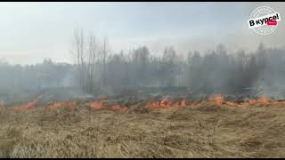 В курсе.TV: Пожарные борются с огнём в Туртапке