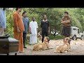 Mohanlal Telugu Ultimate Movie Interesting Action Scene | Telugu Movie Scene | Telugu Videos