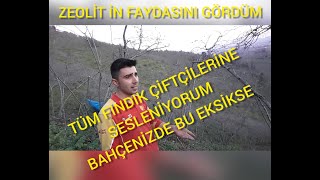 MÜHENDİS ÇİFTÇİ Mehmet Hasan Akar ile röportaj. Findik#budama #besleme #gübreleme hakkında  #zeolit