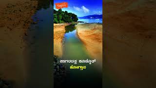 ನಿಮ್ಮ ದೇವರು ಯಾವುದು?