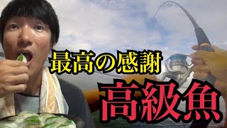 海釣り公園であの奇跡の一匹✨から高級魚釣って寿司にして食べる🍣毎度感謝している。