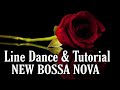 NEW BOSSA NOVA - Line Dance ( Dance& Tutorial)