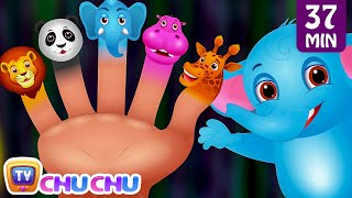 Finger Family Nursery Rhymes | Animal Finger Family Songs Collection | Learn Wild Animals | ChuChuTV