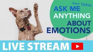What you always wanted to know about EMOTIONS | Ask Me Anything