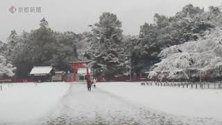 上賀茂神社も雪景色に（2020年12月17日、京都市北区）