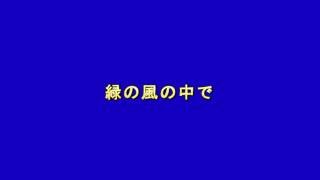 ズンゴロ節  in  チャリティーコンサート