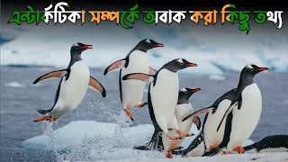 এন্টার্কটিকা মহাদেশ সম্পর্কে  অবাক করা কিছু তথ্য | Antarctica Continent