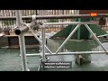 scaffold unit beam load test before shipping to Shell LNG project- www.wm-scaffold.com China