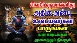 சிவபெருமான் மீது அதிக அன்பு உடையவர்கள் பாருங்கள்!! Lord Shiva Love Status | Lord Shiva Tamil Status