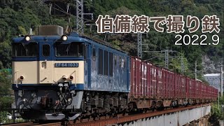 【撮り鉄】伯備線の撮影記（１日目）2022.9（特急やくも、伯備貨物、115系）