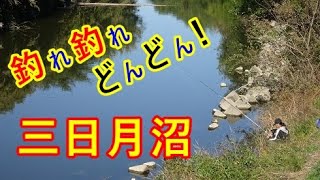 三日月沼はどんどん釣れる。楽しいナ♪【東松山市】