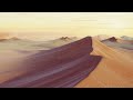 desert visions video