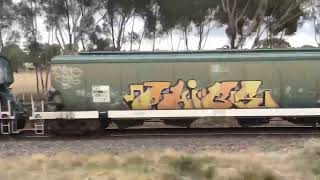 #8173 + G523 + XR559 with a grain train