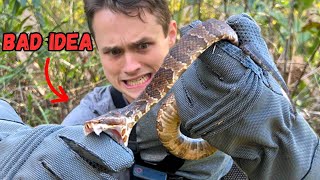 Venomous Snake vs Bite Proof Gloves!