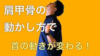 連動を感じようシリーズ「肩甲骨を使ってセルフケアをしてみよう」