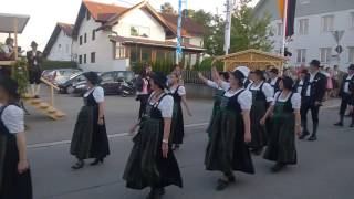 55. Gauschießen in Ebersbach - Impressionen 2 vom Festumzug am 06.06.2016