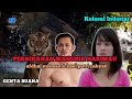 GENTA BUANA - Perkawinan Manusia Harimau | afdhal Yusman & imel Putri cahyati