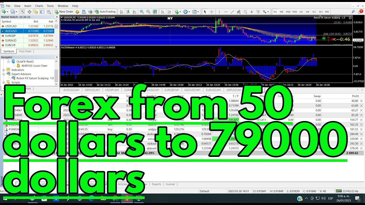 Automated Forex From 50 Dollars To 79000 Dollars (Live Robot Trading ...