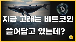 비트코인 시황, 고래와 채굴자들의 움직임과 시장참여자들