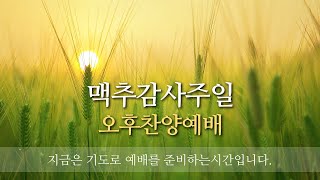 2024.7.7. 예담교회 맥추감사주일 오후예배(발표회) LIVE