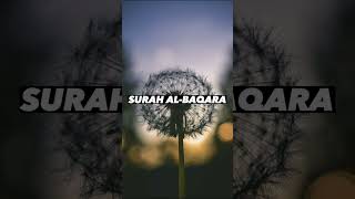 SURAH AL-BAQARA |Ayaat 41-43| Recitation by Mishary Rashid Alafasy | Islam The Heavenly Path