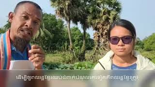 តើមានវីធីសាស្រ្តអ្វីដែលធ្វើឲ្យពលរដ្ឋខ្មែរឈប់ជំពាក់បំណុលគេ?