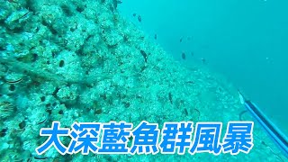 發現深藍史前大魚窩，下潛20公尺遭遇魚群風暴，深海石斑也束手擒【探海漁人】