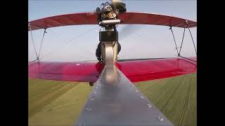 Dingo  patern flight. (tail camera)