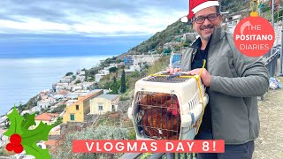 BYE BYE CHICKENS! THE HENS TAKE A TRIP | Vlogmas EP 8