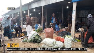 কুয়াশায় অনেক শীতকালীন সবজি ক্ষেত নষ্ট | Manikganj | Ekhon TV