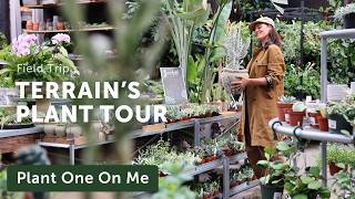 Tour TERRAIN'S Gorgeous PLANT SHOP & Cafe — Ep. 426
