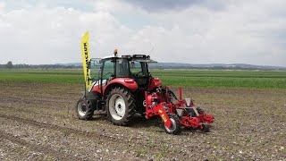 Pneumatic seed drill for vegetable | Cucumber sowing | STEYR 4065 | URSUS C-360