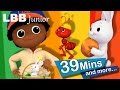 Peter Piper | And Lots More Original Songs | From LBB Junior!