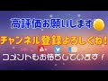 初心者必見！ボールパイソン購入時『4つ』の目利き方法教えます！