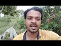 गाडरवारा एनटीपीसी पावर प्लांट vlog 🙏🙏🙏 प्लीज चैनल को सब्सक्राइब और शेयर करें