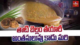 తాటి బెల్లం తయారీ అంతసులువు కాదు మరి | Palm Jaggery Making Process | hmtv Agri