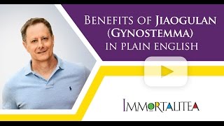 Benefits Of Jiaogulan (Gynostemma) in Plain English