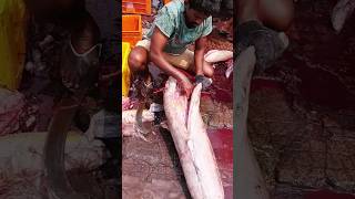 కొమ్ము కొన చేప చాలా బాగుంది పెద్దది #fishmarket #fishcutting #vizagfishingharbour #techtravellerraja