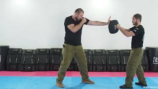 fighting stance, basic striking techniques, why do we learn striking?